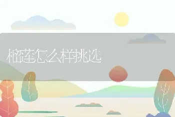 榴莲怎么样挑选