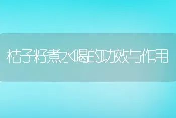 桔子籽煮水喝的功效与作用