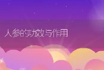 人参的功效与作用