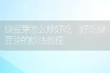 绿豆芽怎么炒好吃 好吃绿豆芽的炒法教程