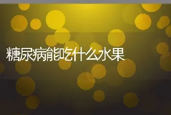 糖尿病能吃什么水果