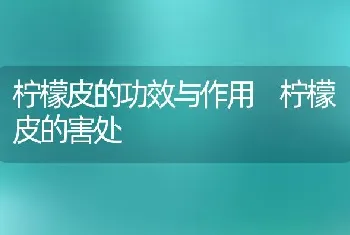 柠檬皮的功效与作用 柠檬皮的害处