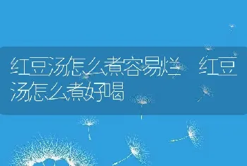 红豆汤怎么煮容易烂 红豆汤怎么煮好喝