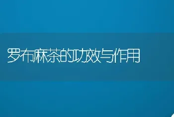 罗布麻茶的功效与作用