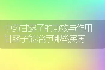 中药甘露子的功效与作用 甘露子能治疗哪些疾病