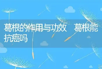 葛根的作用与功效 葛根能抗癌吗