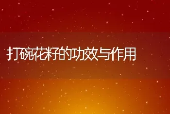 打碗花籽的功效与作用