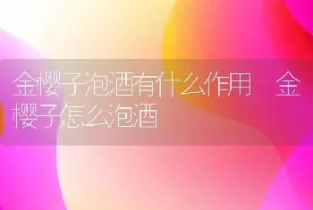 金樱子泡酒有什么作用 金樱子怎么泡酒