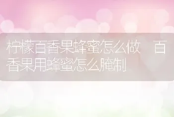 柠檬百香果蜂蜜怎么做 百香果用蜂蜜怎么腌制