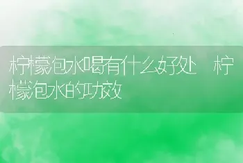 柠檬泡水喝有什么好处 柠檬泡水的功效