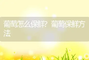 葡萄怎么保鲜?葡萄保鲜方法