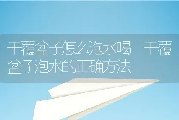 干覆盆子怎么泡水喝 干覆盆子泡水的正确方法