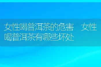 女性喝普洱茶的危害 女性喝普洱茶有哪些坏处