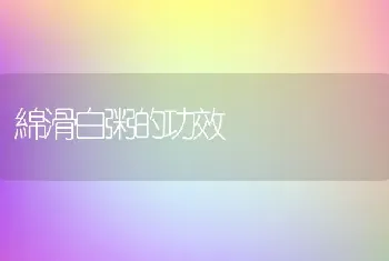 綿滑白粥的功效