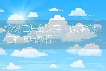 核桃仁怎么保存 保存核桃仁的技巧教程