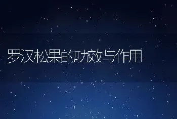 罗汉松果的功效与作用