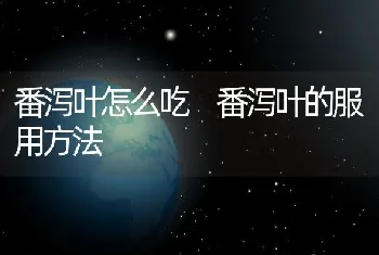 番泻叶怎么吃 番泻叶的服用方法