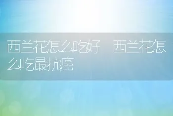 西兰花怎么吃好 西兰花怎么吃最抗癌