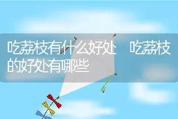 吃荔枝有什么好处 吃荔枝的好处有哪些