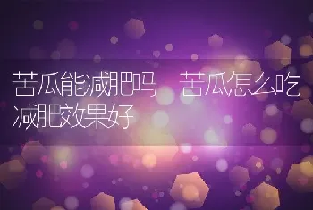 苦瓜能减肥吗 苦瓜怎么吃减肥效果好