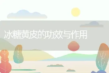 冰糖黄皮的功效与作用