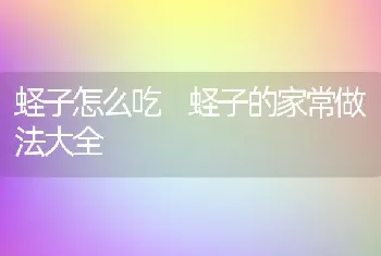 蛏子怎么吃 蛏子的家常做法大全