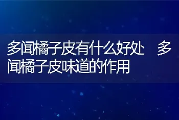 多闻橘子皮有什么好处 多闻橘子皮味道的作用