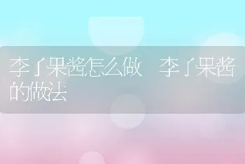 李子果酱怎么做 李子果酱的做法