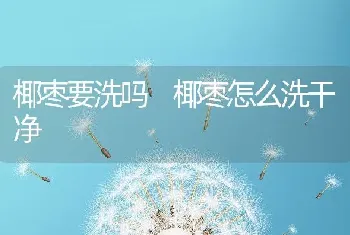 椰枣要洗吗 椰枣怎么洗干净