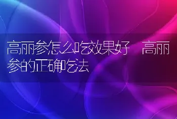 高丽参怎么吃效果好 高丽参的正确吃法