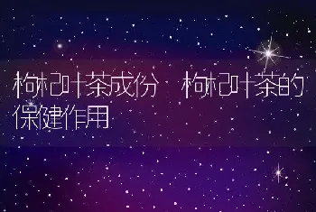 什么叫金鸡尾 金鸡尾的功效与作用