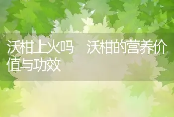 沃柑上火吗 沃柑的营养价值与功效