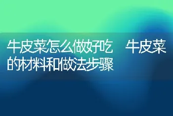 牛皮菜怎么做好吃 牛皮菜的材料和做法步骤