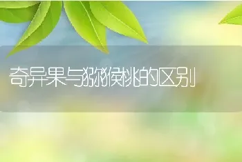 奇异果与猕猴桃的区别