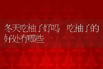 冬天吃柚子好吗 吃柚子的好处有哪些