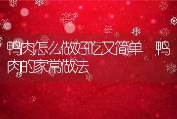 鸭肉怎么做好吃又简单 鸭肉的家常做法