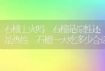 石榴上火吗 石榴是凉性还是热性 石榴一天吃多少合适