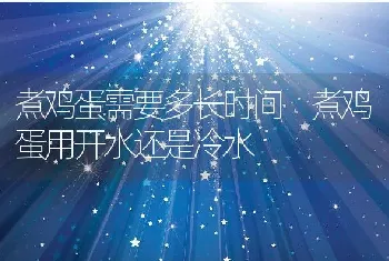 煮鸡蛋需要多长时间 煮鸡蛋用开水还是冷水