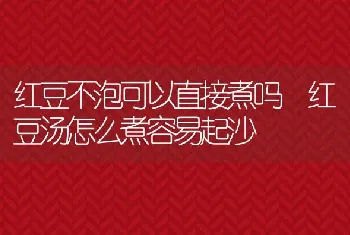 红豆不泡可以直接煮吗 红豆汤怎么煮容易起沙