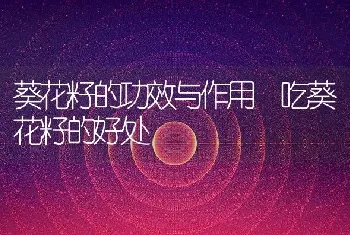 甘蔗汁的功效与作用