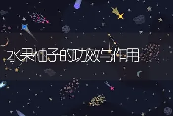 水果柚子的功效与作用