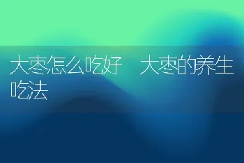 大枣怎么吃好 大枣的养生吃法