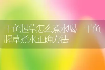 干鱼腥草怎么煮水喝 干鱼腥草煮水正确方法