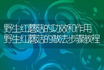 野生红蘑菇的功效和作用 野生红蘑菇的做法步骤教程