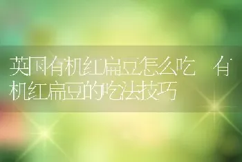 英国有机红扁豆怎么吃 有机红扁豆的吃法技巧