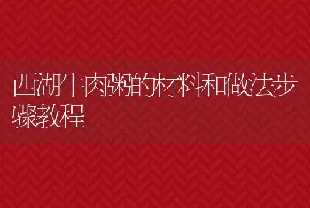 西湖牛肉粥的材料和做法步骤教程