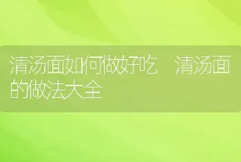 清汤面如何做好吃 清汤面的做法大全