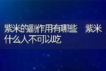 紫米的副作用有哪些 紫米什么人不可以吃