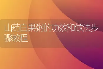 山药白果粥的功效和做法步骤教程