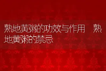 熟地黄粥的功效与作用 熟地黄粥的禁忌